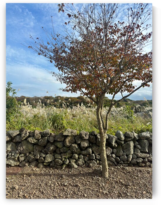 Stone Park Jeju South Korea 6 by Jimmy Roy Photos