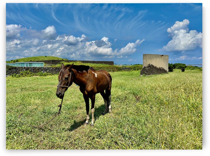 Seopjikoji Jeju South Korea 3 by Jimmy Roy Photos