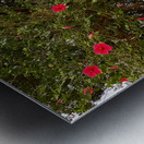 Red Flowers Gate Metal print