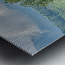 Trees Through the Tea Metal print