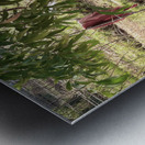 Lady Washing her Hair in the River Metal print