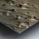 Seashells in the Sand Metal print