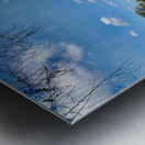 Green Lake Metal print