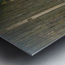 House in the Rice Fields Metal print