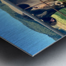 Cow Look Metal print