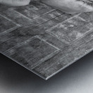 BW Bag Stacks Metal print