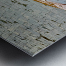 Sri Lankan Holy Water Metal print