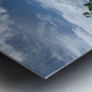 The Tree Metal print