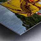 Yellow Barrell on the Road Metal print