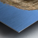 Mingun Pahtodawgyi Elephant Rock Metal print