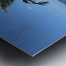 Mini Palm Tree Metal print