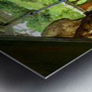 Monk Life Metal print