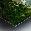 By the Canal in Bangkok Metal print