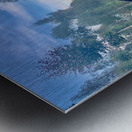 Little Cabbage House Metal print