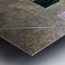 Bathroom Wall Metal print