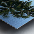 Let s Chill Under the Palm Trees Metal print