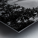 BW Monk  Stupa Metal print