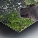 Monkeys on the Roof Metal print