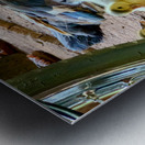 The Duck Family Metal print