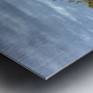 Dog in the Field Metal print