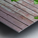 Plants Growing on the Side of the House Metal print