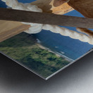 Kitties with a View Metal print