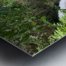 Kawasan Falls Philippines 1 Metal print