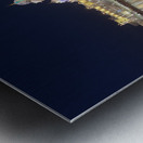 Golden Temple Amritsar 17 Metal print