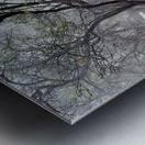 Cibuni Rengganis Crater Java Indonesia 6 Metal print