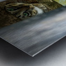 Kampong Ayer Floating Village Brunei 5 Metal print