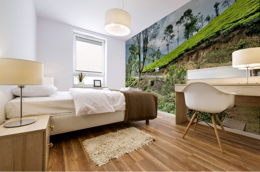 Drive Through Tea Plantations Mural print