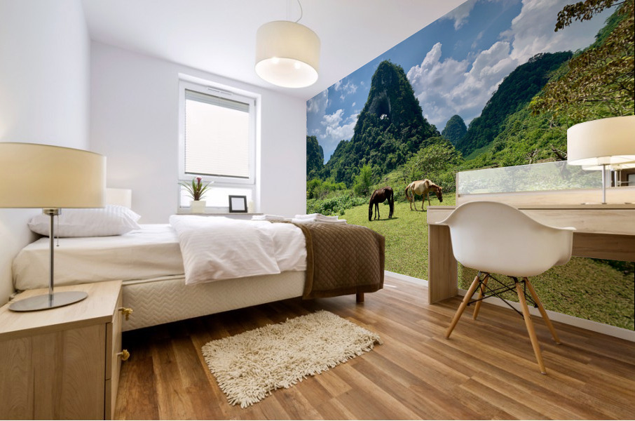 Horses by Angle Eye Mountain Mural print