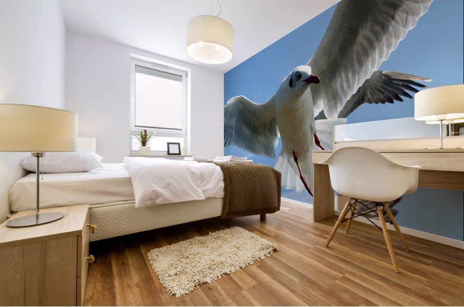 Seagull Look 2 Mural print