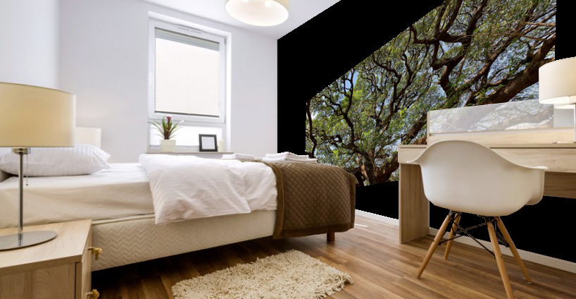 All the Branches Mural print