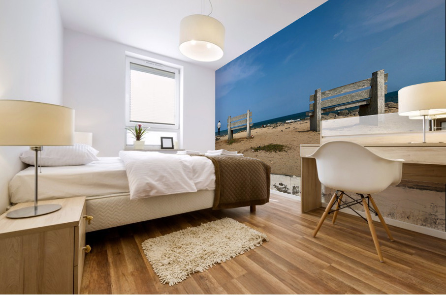 The Twin Benches Mural print