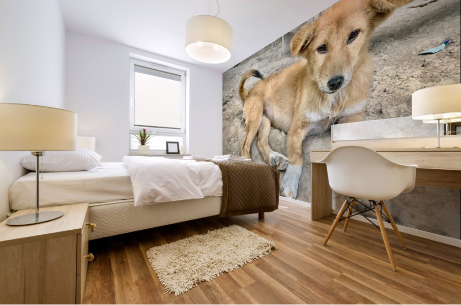 Cute Puppy Mural print