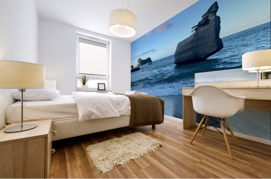 Nice Rock View From the Beach Mural print