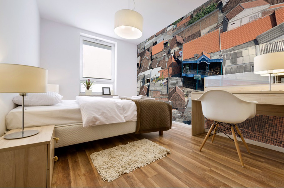 All the Roofs Mural print