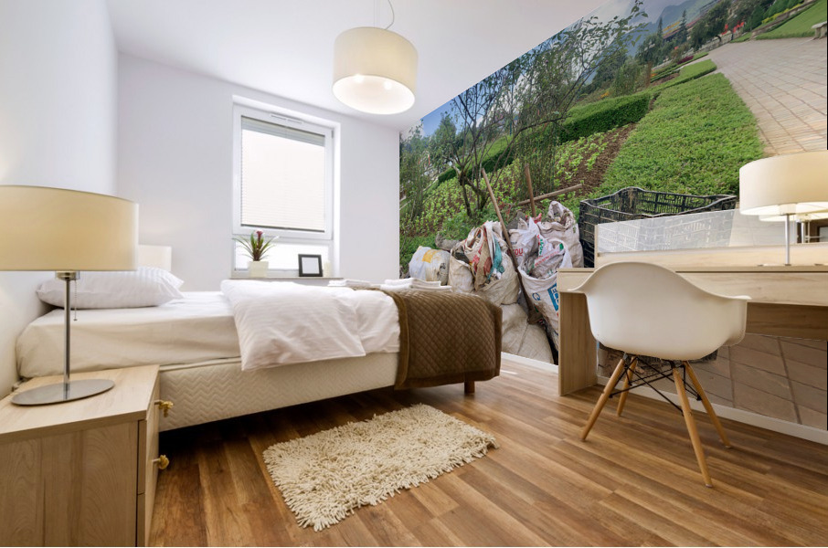 Lets Clean the Park Mural print