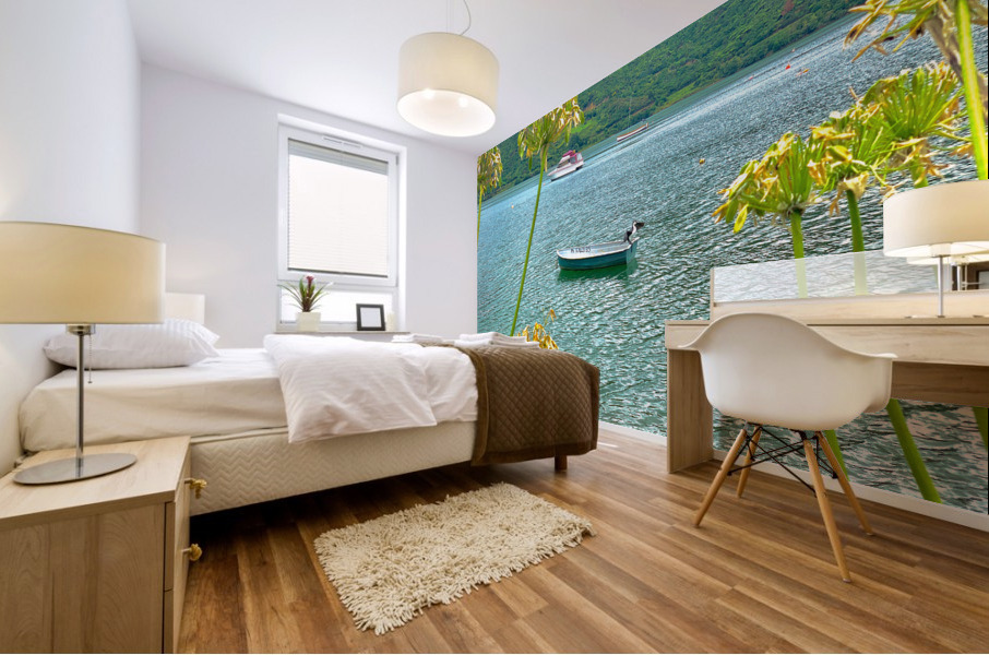 Empty Boat on the Lake Mural print