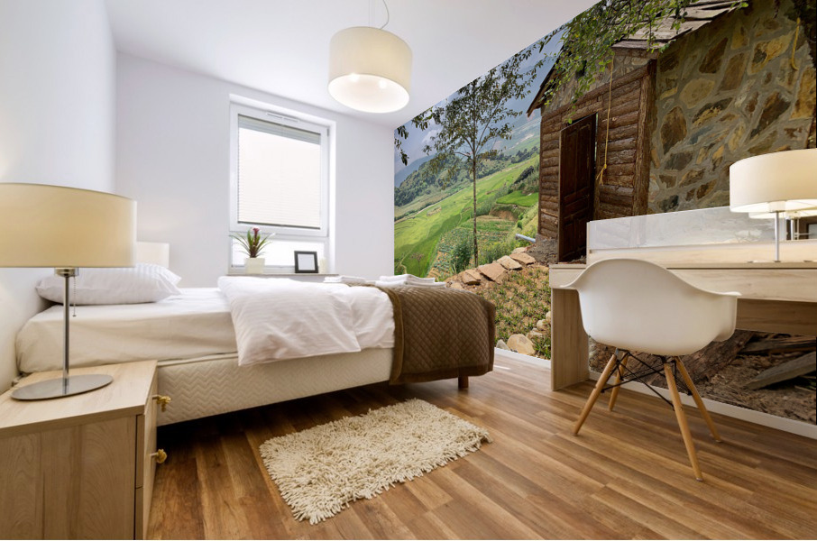 Little House by the Rice Fields Mural print