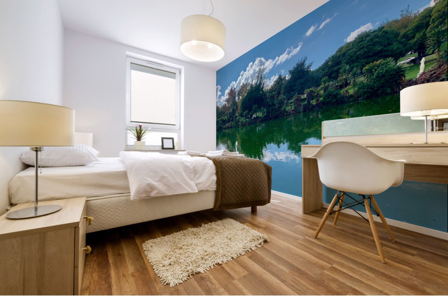 Nature s Own Reflection Mural print