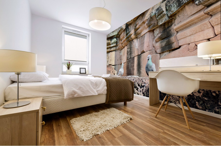 Birds in Historical Site Mural print