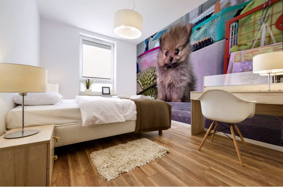 Furry Puppy Mural print