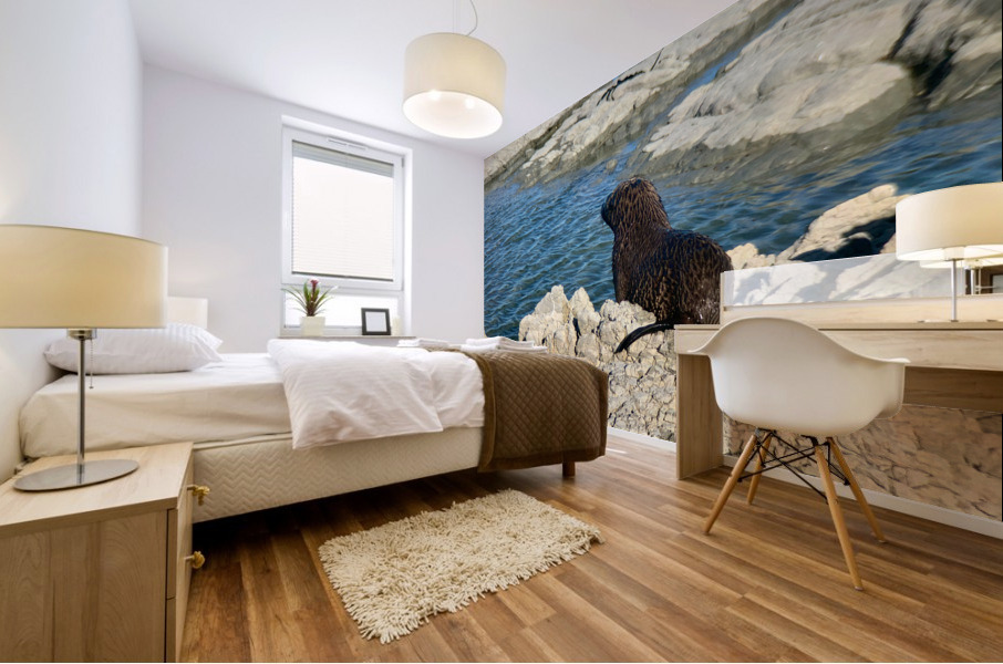 Seal Looking at a Distance Mural print