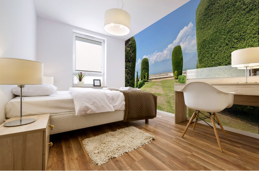 View from Pari Mahal Srinagar 2 Mural print