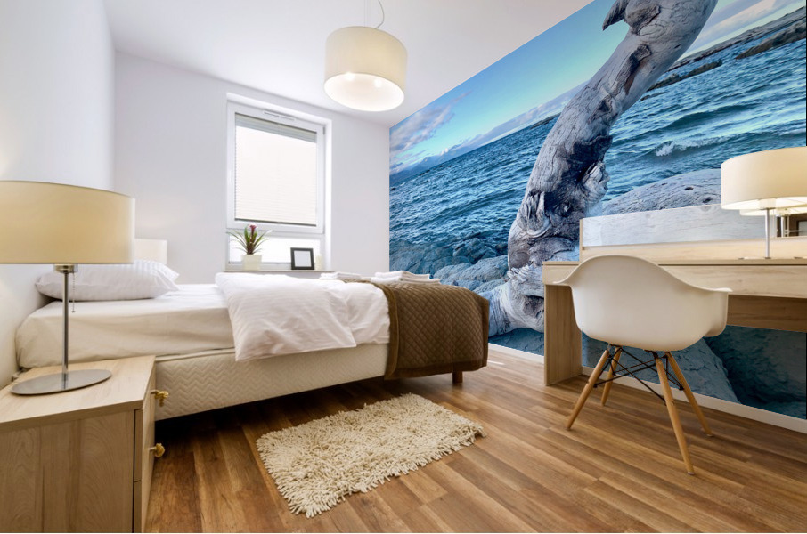 Bird Shaped Wood in Front of the Ocean Mural print