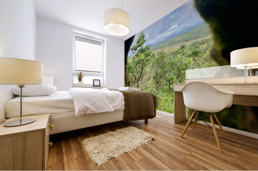 Nature Through the Hole Mural print