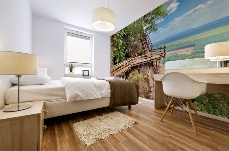 The Amazing Wat Phu Tok 3 Mural print