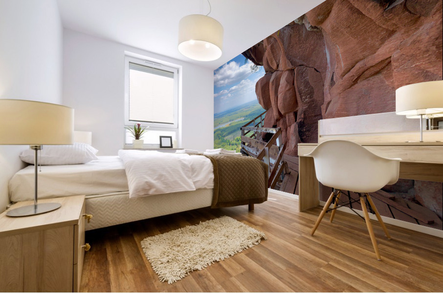 The Amazing Wat Phu Tok 5 Mural print